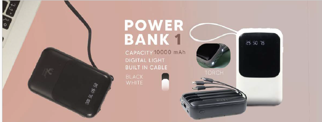 Power Bank 13